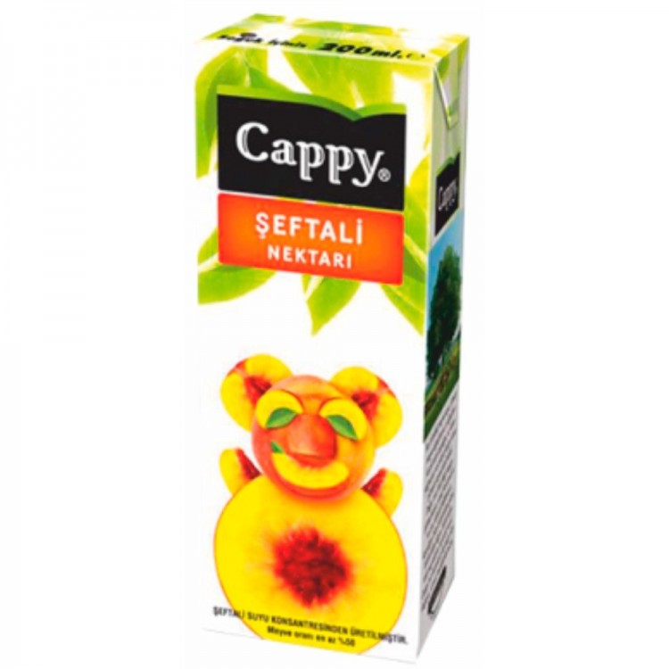 CAPPY 200 ML ŞEFTALİ  X 27 AD