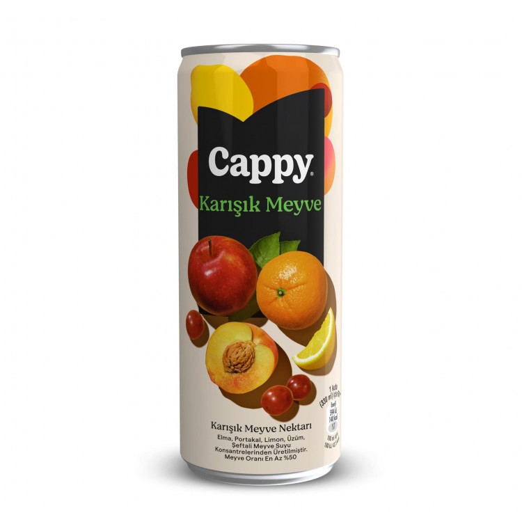 CAPPY 330 ML KUTU KARIŞIK X 12 AD