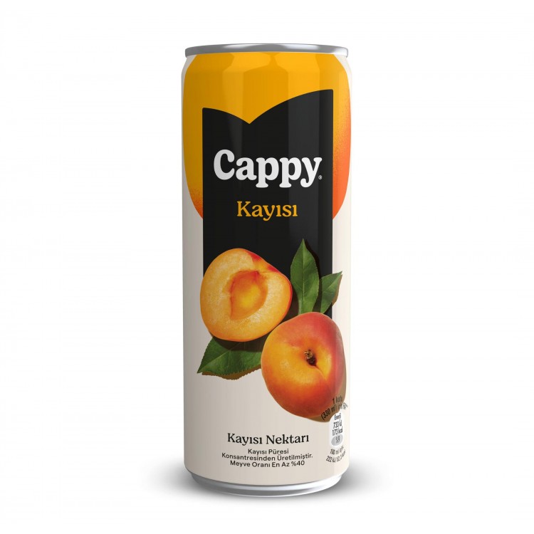 CAPPY 330 ML KUTU KAYISI X 12 AD