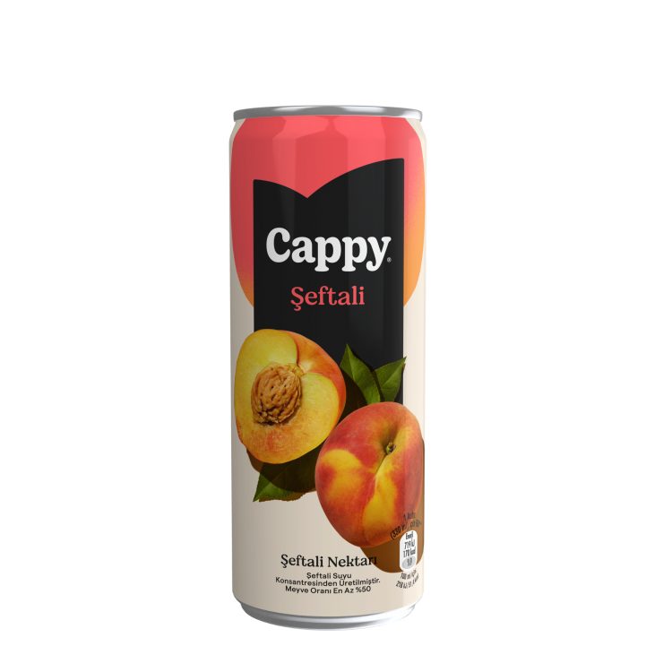 CAPPY 330 ML KUTU ŞEFTALİ X 12 AD
