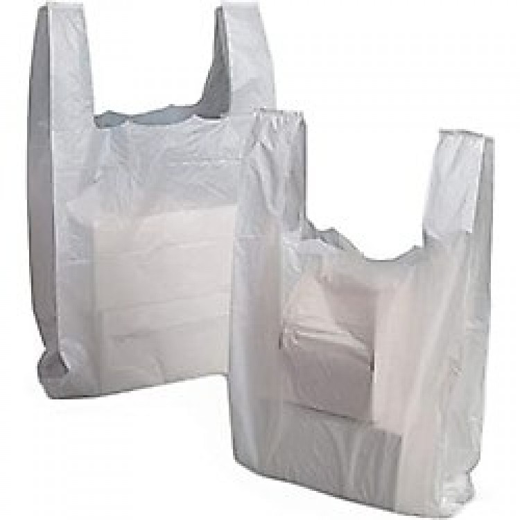 GÜNEŞ ÇANTA POŞET KÜÇÜK BOY 1 KG