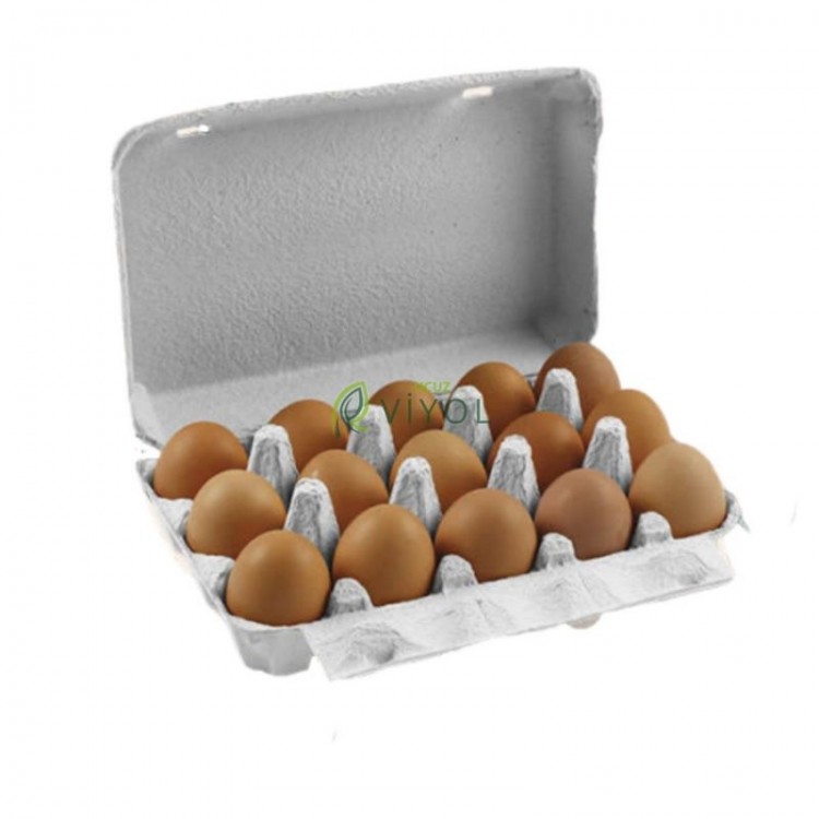 GIDGIDAK YUMURTA 15'Lİ - PAKET GIDGIDAK YUMURTA 15'Lİ - PAKET