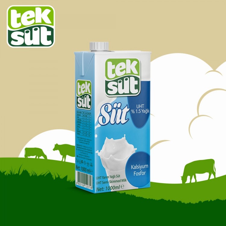 TEKSÜT 1 LT X 12 AD