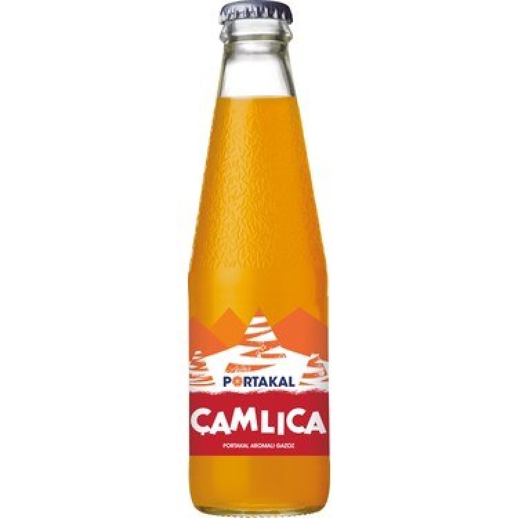 ÜLKER ÇAMLICA 200 ML PORTAKAL X 24 AD